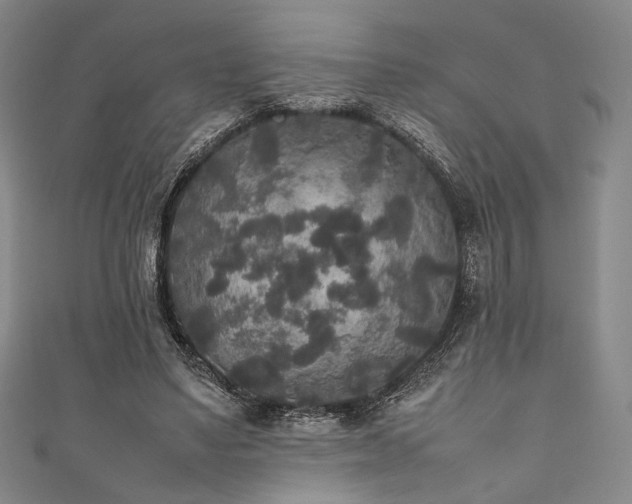 X0000111840491200907231411