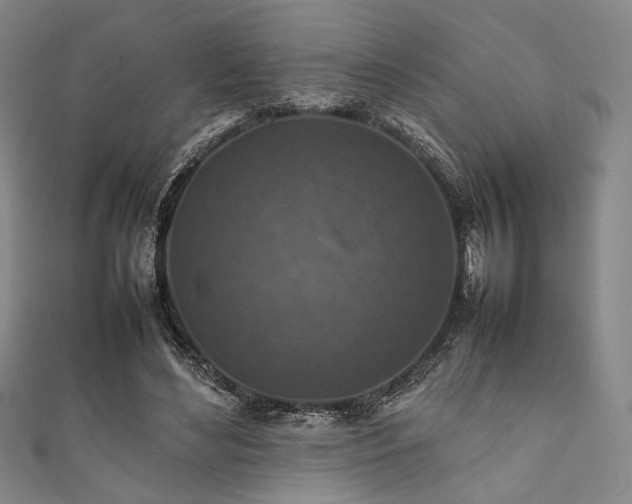 X0000111840492200907231411