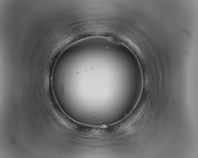 X0000111840493200907231411