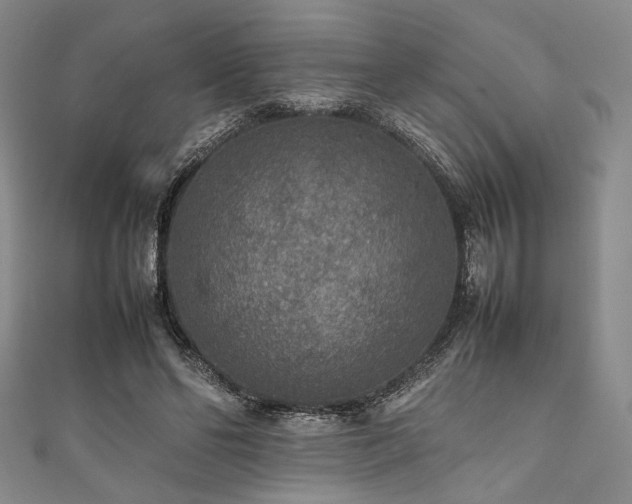 X0000111840494200907231411