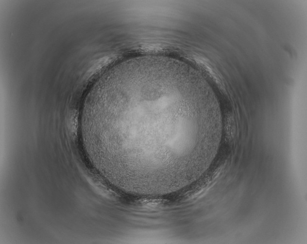 X0000111840495200907231411