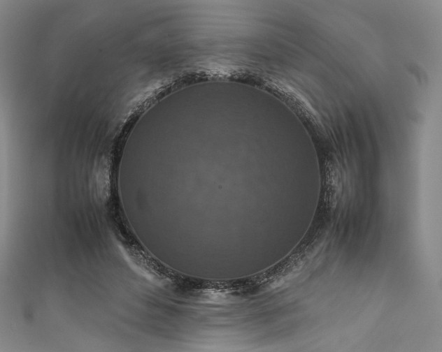 X0000111840496200907231411