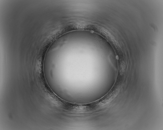 X0000111840497200907231411