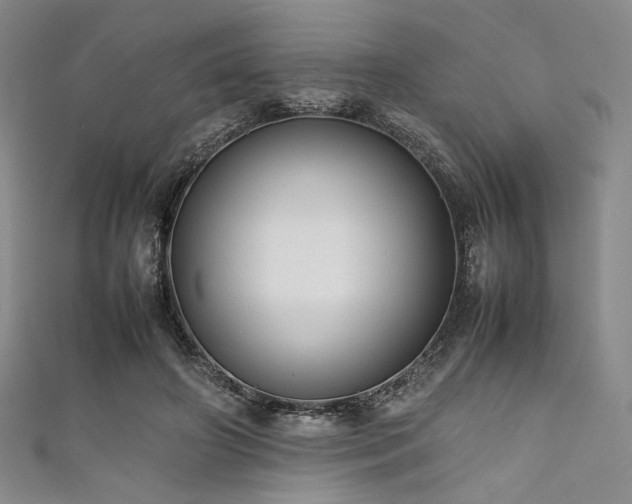 X0000111840498200907231411