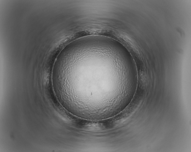 X0000111840499200907231411