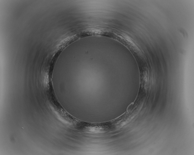 X0000111840500200907231411