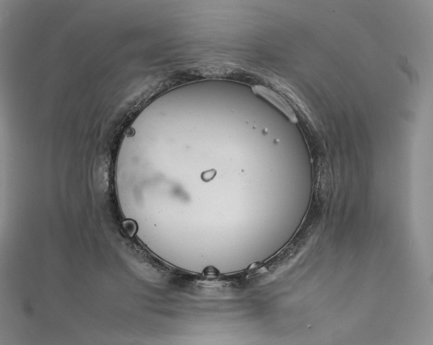 X0000111840501200907231411