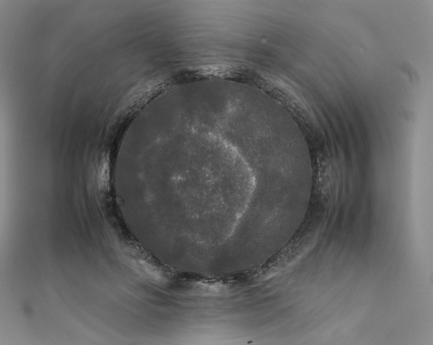 X0000111840502200907231411