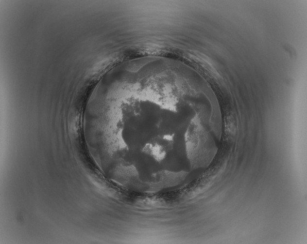 X0000111840503200907231411