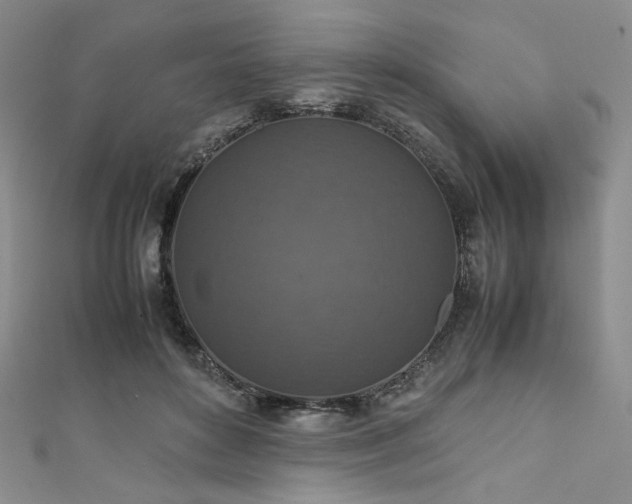 X0000111840504200907231411