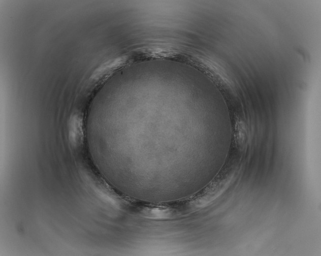 X0000111840506200907231411