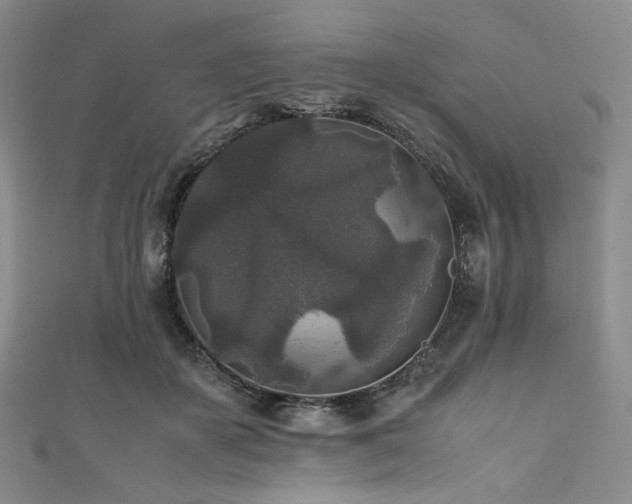 X0000111840507200907231411