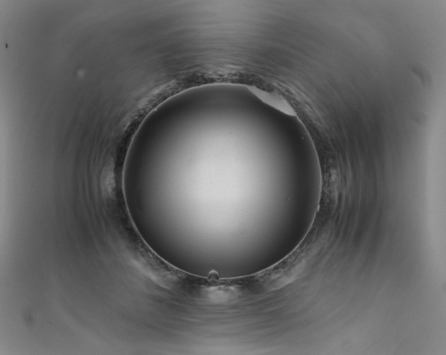 X0000111840508200907231411