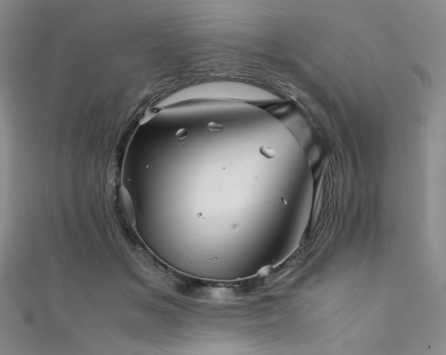 X0000111840509200907231411