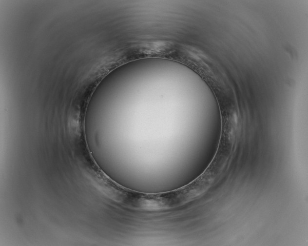 X0000111840510200907231411