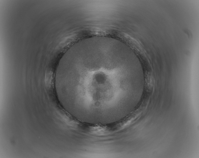 X0000111840511200907231411