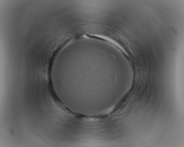 X0000111840512200907231411