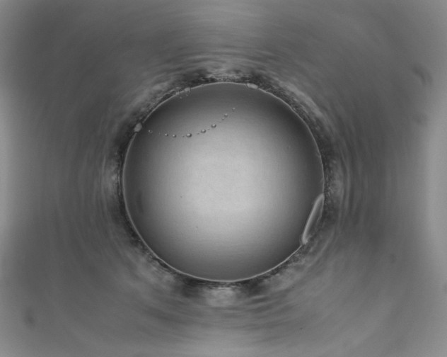 X0000111840513200907231411