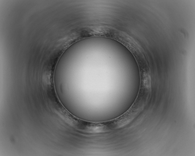 X0000111840514200907231411