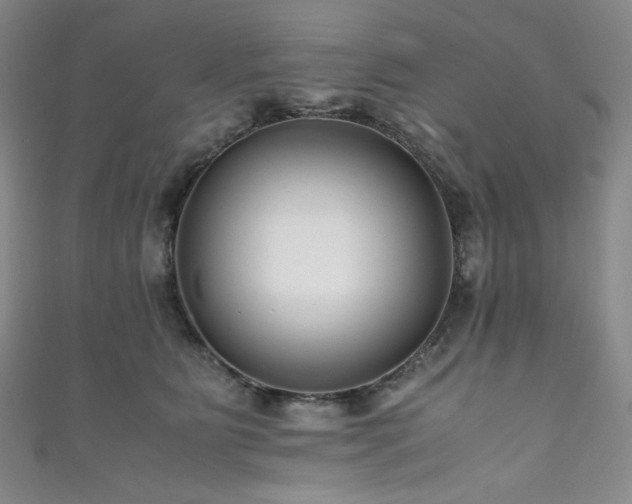 X0000111840515200907231411