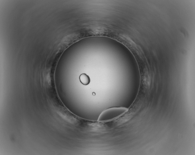 X0000111840516200907231411