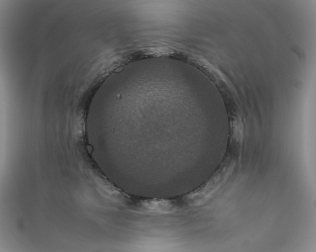 X0000111840517200907231411