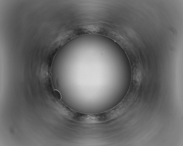 X0000111840518200907231411