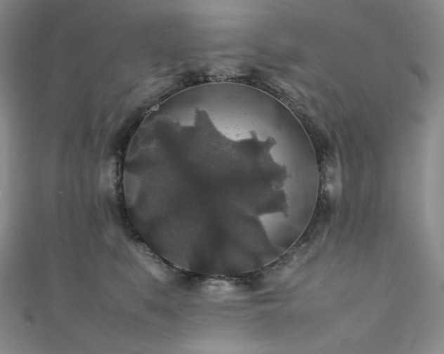 X0000111840519200907231411