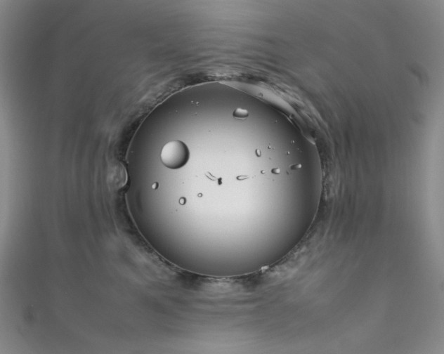 X0000111840521200907231411