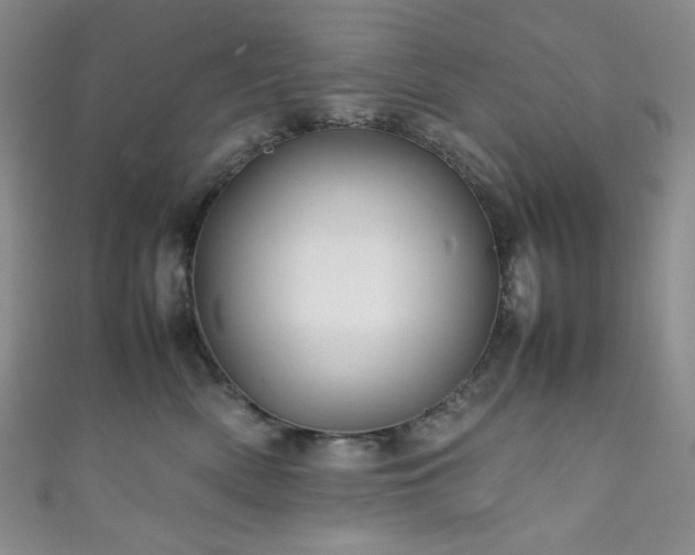 X0000111840522200907231411