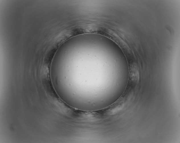 X0000111840523200907231411