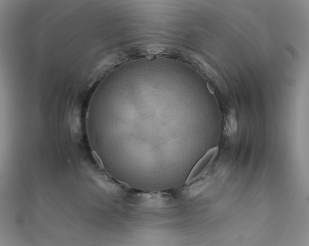 X0000111840524200907231411