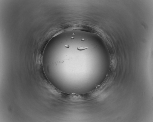 X0000111840525200907231411