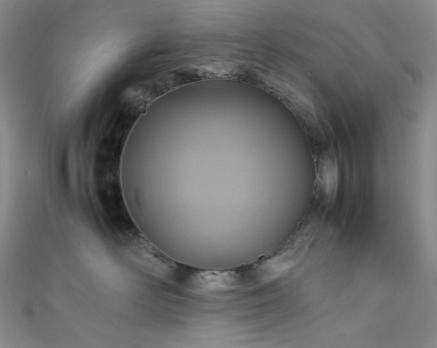 X0000111840526200907231411