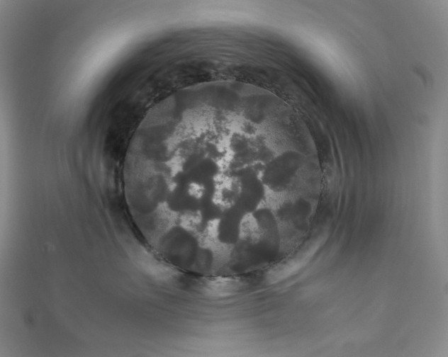 X0000111840527200907231411