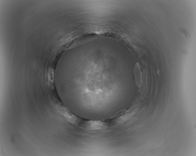 X0000111840528200907231411