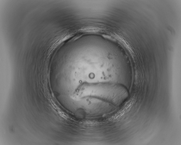 X0000111840529200907231410