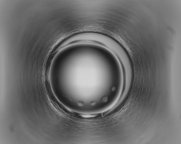 X0000111840530200907231410