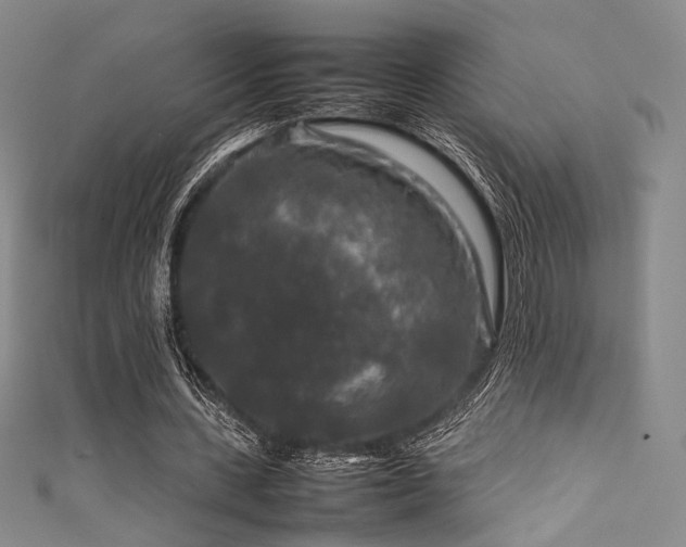 X0000111840531200907231410