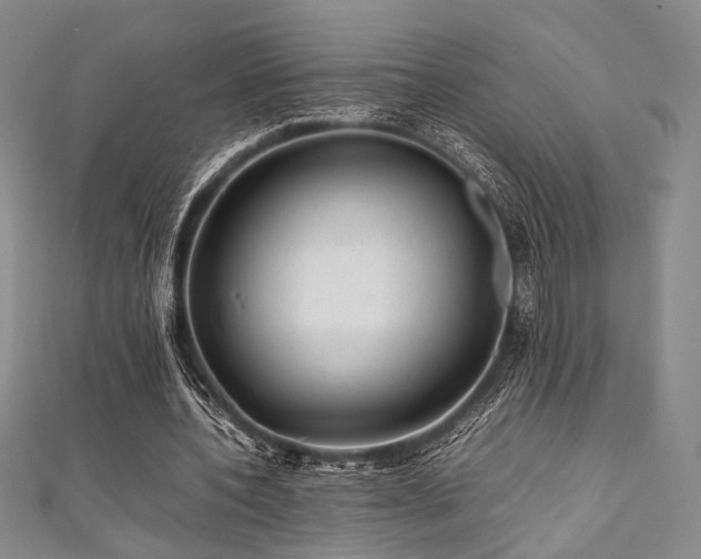 X0000111840532200907231410