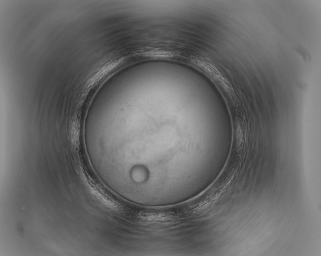 X0000111840533200907231410