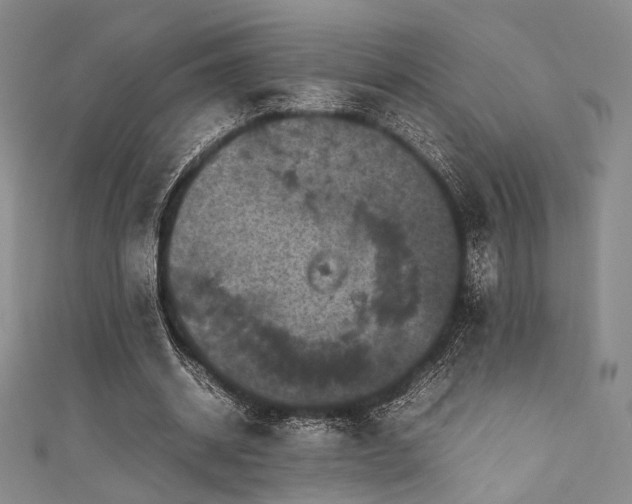 X0000111840534200907231410