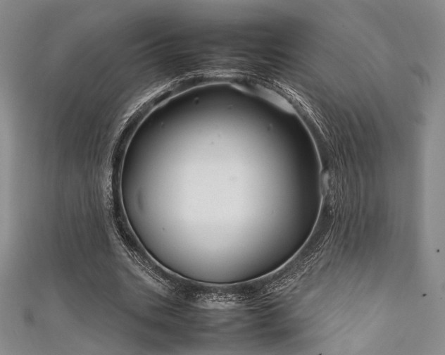 X0000111840535200907231410