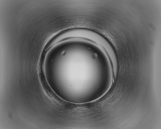 X0000111840536200907231410