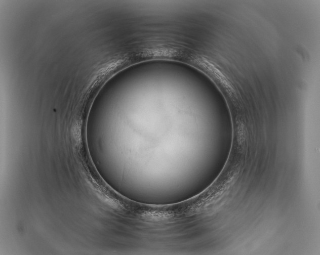 X0000111840537200907231410