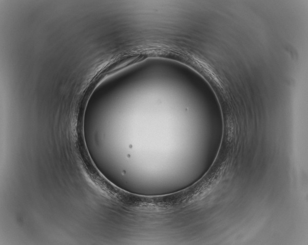 X0000111840538200907231410