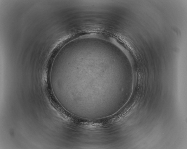 X0000111840539200907231410