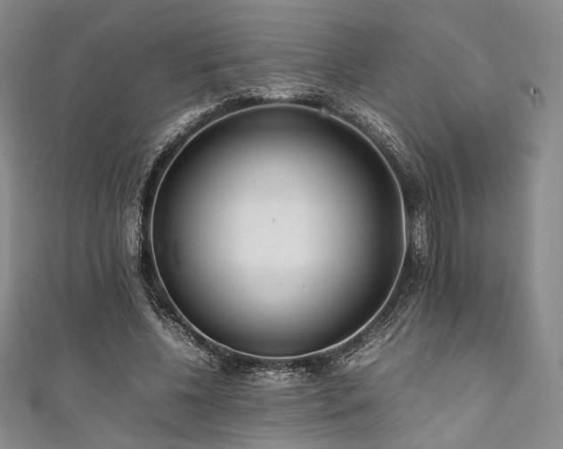 X0000111840540200907231410