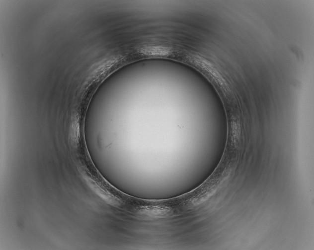 X0000111840541200907231410