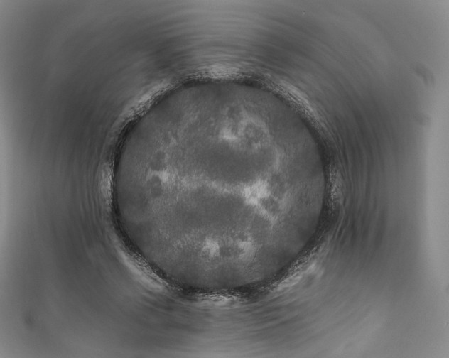 X0000111840542200907231410